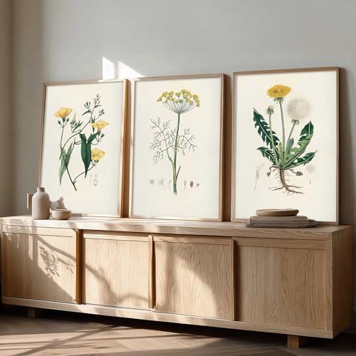 Image of kotart Decorative Aesthetic Botanical Art Home Decoration Painting | Floral Paintings With Frame For Living Room Bed Room Hotel Wall Decor Digital Reprint Set of 3