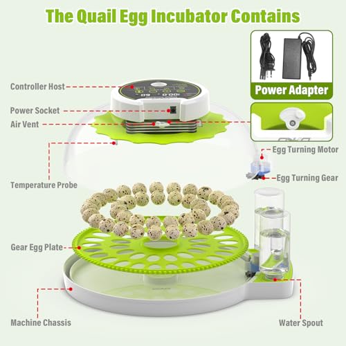 Image of Quail Egg Incubator for Hatching Eggs with Automatic Egg Turning and Humidity Control, 40 Quail Eggs Capacity Brooder Poultry Incubators, Also for Partridge, Parrot, Pigeon, and Other Types of Bird