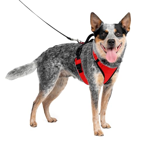 PetSafe EasySport Harness, Walking Harness for Dogs, Adjustable, Padded, Medium-Red
