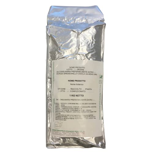 PATRIZIO BRESEGHELLO - Arcilla ventilada verde para exteriores 1 kg - Polvo de arcilla verde - Polvo para exfoliar y desintoxicar