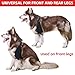 QCBF Dog ACL Knee Brace, Dog Knee Brace for Torn ACL Hind Leg, Dog ACL Brace hind Leg, Dog Leg Braces for Back Leg, Dog Hip Brace, Cruciate Care Knee Brace for Dogs (Medium)