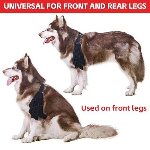 Image of Dog ACL Knee Brace, Dog Knee Brace for Torn ACL Hind Leg, Dog ACL Brace hind Leg, Dog Leg Braces for Back Leg, Dog Hip Brace, Cruciate Care Knee Brace for Dogs (Small)