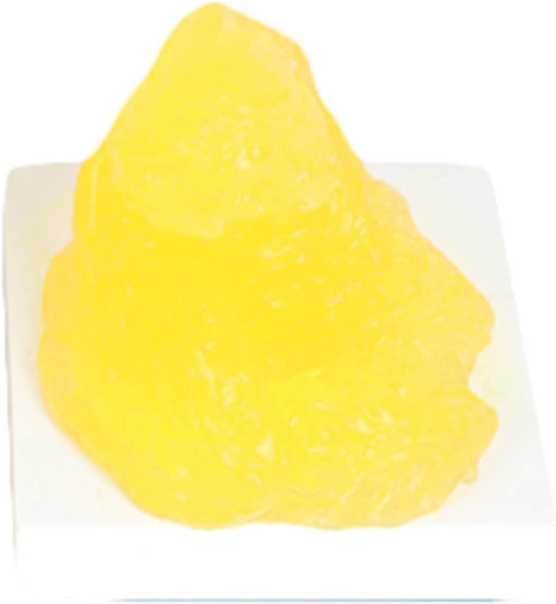 ExKaTe Human Body Fat Replica, 1lb Authentic Anatomical Human Fatty Tissue Demonstration Model, Life Size Fat Anatomy Model for Nutritionist, Anatomical Science Course for Medical Student.