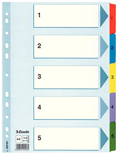 Esselte 100160 A4 1-5 Index, Heavy Duty Cardboard with Mylar Reinforced Tabs, Blue/Multicolour