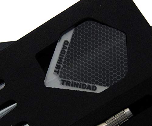 Amazon | トリニダード(TRiNiDAD) X ダーツバレル FOREMAN | ダーツ矢 通販