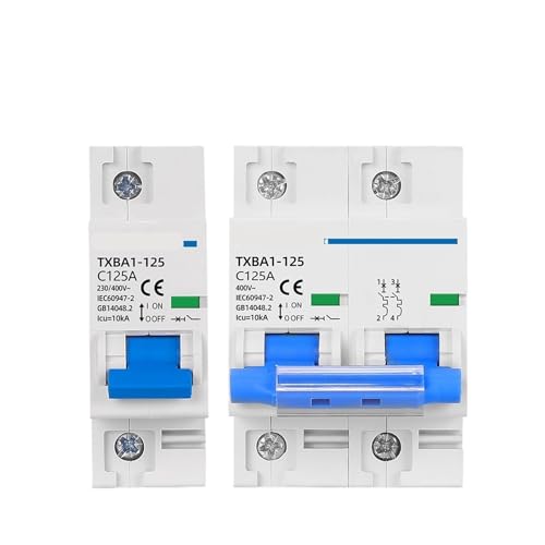 Mini disyuntor de 10KA contra cortocircuitos con interruptor magnetotérmico 2P 100A automático