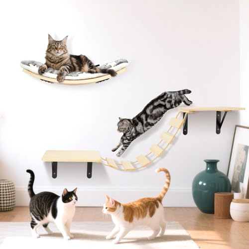 Cat Wall Shelves Set with Bridge Ladder
