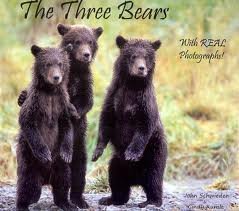 Hardcover The Three Bears With REAL Photographs Book