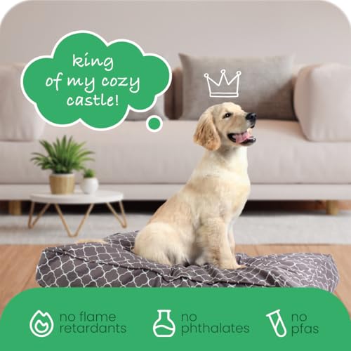 Molly Mutt Medium to Large Dog Bed Cover- Clark Gable Print - Measures 27”X36”X5’’ - 100% Cotton - Durable - Breathable - Sustainable - Machine Washable Dog Bed Cover (Dd70b) by Molly Mutt - Image 6