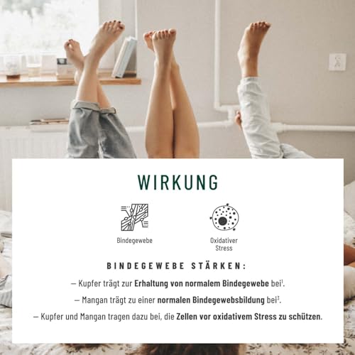 Rutin Steinklee Komplex 120 Kapseln - 500mg Rutin hochdosiert & 394mg Steinklee - Pflanzliche Alternative zu Venenkapseln Venentabletten - Vegan - Venenschatz von NATURTREU