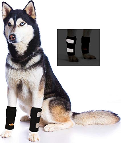 Pair of NeoAlly Dog Front Leg Braces Canine Carpal Support with Safety Reflective Straps for Front Hock, Cruciate Ligament, Wound Wrap and Loss of Stability from Arthritis - (L/XL Pair)