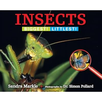 Insects