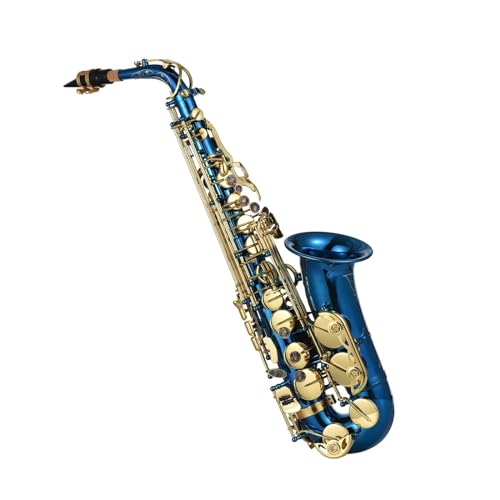 S TbNX u[؊Ǌy^J Eb E tbgAgTbNXTbNX{^ǊyP[X܃xguV