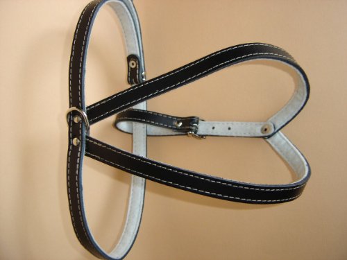 Hunde Geschirr, Brustkorb 38-45 cm, Echt Leder + SCHWARZ NEU (Made in Poland 20.3.200)