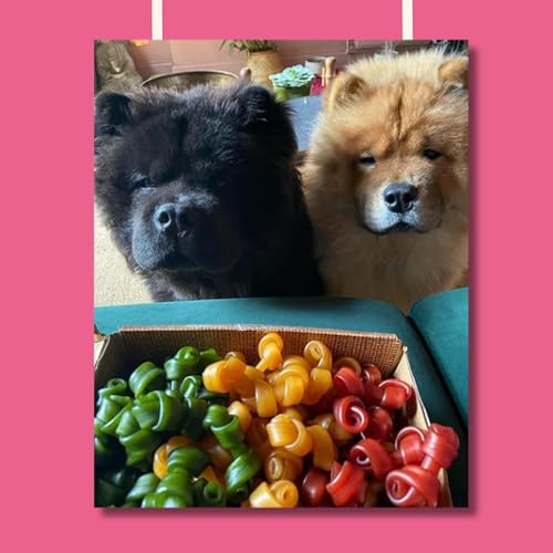 Pawtato kleine Kauknoten für Hunde vegan (1,6 kg Mischpackung), Hundeleckerli mit Süßkartoffeln, Reis & Backhefe für Energie, Leckerli für Hunde & Welpen auf Pflanzenbasis, Kausnack, gemischte Farben