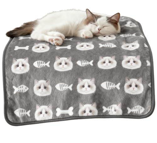 IWi ybgѕz Lp }bg ʐ^vg uPbg  ʐ^ O ^I I[_[Ch  zc \tg^b` g ӂӂ o[Vu @\ 􂦂 H~h ۉ XNGA^ v[g Mtg 