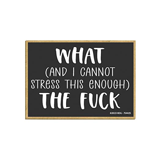 Honey Dew Gifts, What (and I Cannot Stress This Enough) The Fuck, 2.5 inch by 3.5 inch, Made in USA, Fridge Magnet, Locker Decorations, Decorative Refrigerator Magnets, 754425