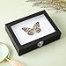 Juvale Insect Display Case - 8 x 6 x 1.8 in, Black - Glass Top & Removable Foam Pinning Board - Bug Display Box & Specimen Case for Butterflies, Moths & Other Insects