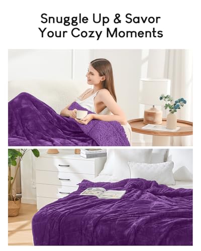 Cottonblue Weighted Blanket 15 lbs Queen Size, Flannel Shaggy Sherpa Weighted Blanket for Adults Comfortable Weighted Blankets for Calming and Relax, Bed Sofa Heavy Blankets, 60x80 inches, Purple