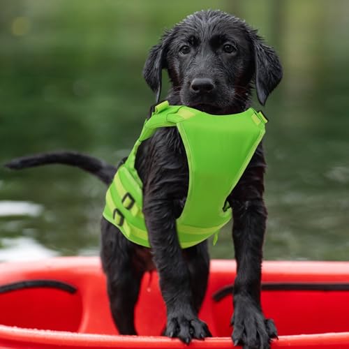 Queenmore Hundeschwimmweste, Größe M, Schwimmweste für mittelgroße Hunde, Ripstop-Lebensretter mit Rettungsgriff, Hundeschwimmweste (Grün, M)