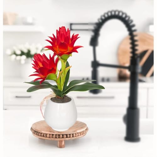 BINFEN Red Potted Bromeliad - Artificial Flowers with Vase for Home and Office Decor, Aesthetic Faux Tropical Plant Bonsai, 13.4 Inch