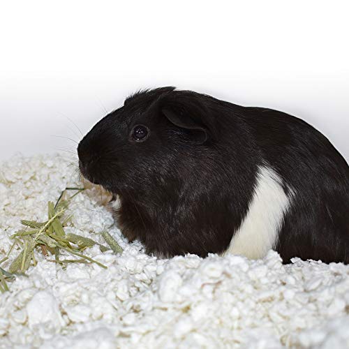 Image of carefresh Custom Rabbit /Guinea Pig Pet Bedding, 50 L, White