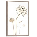 REINDERS Gerahmtes Bild, Trockenblumen, Wohnzimmer...