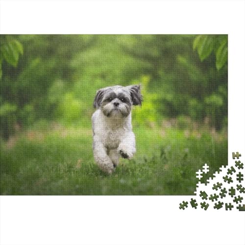Rompecabezas Shih Tzu de 1000 piezas para relajarse en casa con un divertido reto de 70x50cm