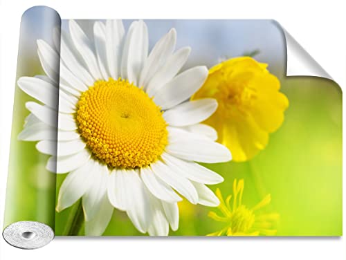 Papier peint fleurs de camomille moderne au format geant 416x254cm - 2