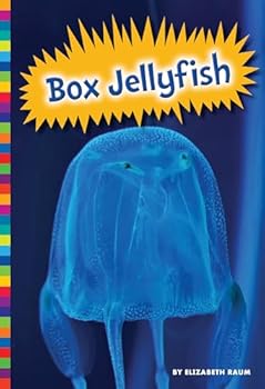 Box Jellyfish