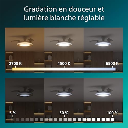Ventilateur De Plafond Philips Bliss – 106 cm, LED Réglable, Télécommande - vue 9