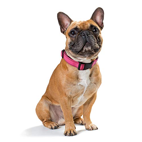 HEELE Hundehalsband, weich gepolstertes Neopren Nylon Hunde Halsband für kleine mittlere große Hunde und Welpen, verstellbare und reflektierende Halsband Hund für Training, Rosa, S