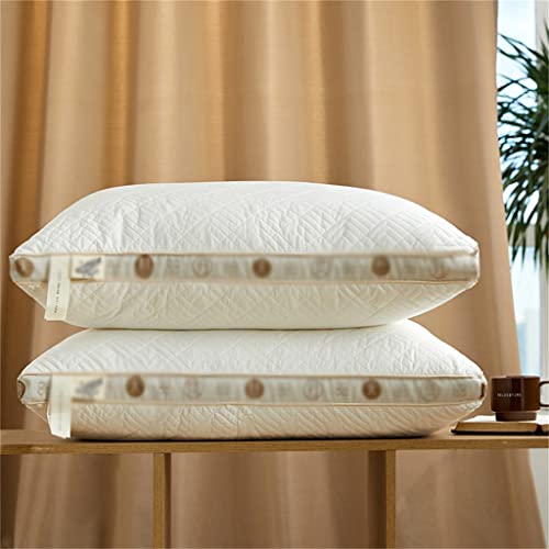 Oreiller en duvet de qualité hôtel lot de 2 confort respirant