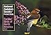Familiar Birds of North America: Eastern Region (National Audubon Society Pocket Guides)