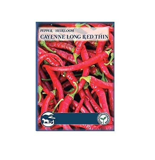 VibeX Cayenne Long Red Thin Pepper -300 Seeds (B0B9Y5TQB8) Amazon Price History, Amazon Price Tracker