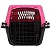 Petmate Dog Crates for Small Dogs & Cat Carriers, Two-Door Plastic Pet Kennel, Top & Front Loading, Made in USA, XS 19