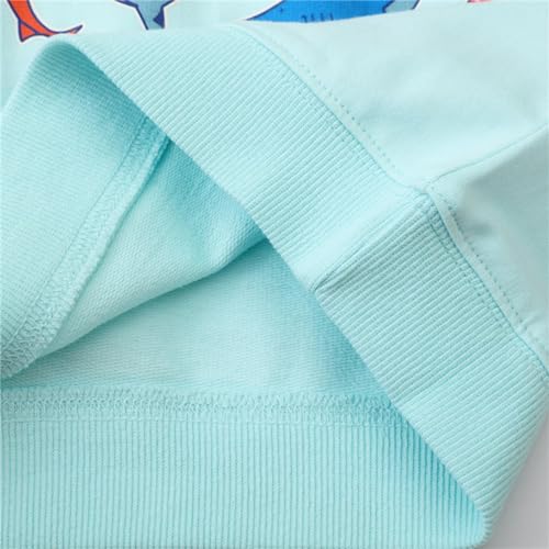 Boys' Long Sleeve Hooded Sweatshirt Boys' Pullover Autumn Children's Crewneck Sweatshirt Glow In (Light Blue, 4-5 Years)2