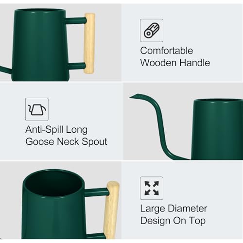Image of Watering Can Indoor Plants, 35 oz /1000 ml Metal Stainless Steel Watering Can Pot with Long Spout for Indoor House Plants Bonsai Outdoor Garden Flower Decorative (Alpinegreen)