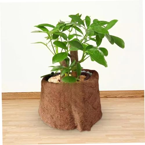 Rouleau coco isolant contre la sécheresse des plantes en pot - 6