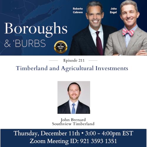 Timberland Investments | Boroughs & Burbs Ep. 211