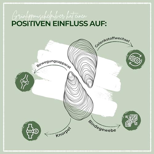 LAPURA Grünlippmuschelpulver Hund & Katze - 100% natürlich, für Gelenke & Mobilität, in Vollfettqualität, mit Omega 3, Grünlippmuschel Katze & Grünlippmuschel Hund Pulver, 250g