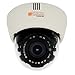 DIGITAL WATCHDOG DWC-D4363TIR / 1/3? CCD; 620 TV Lines [B&W], 600 TV Lines [Color] 3.3~12mm Varifocal Auto Iris Lens
