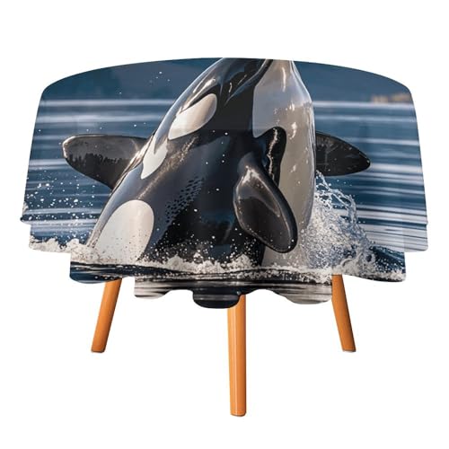 Nappe ronde en polyester lavable 177cm décoration table Halloween - 2