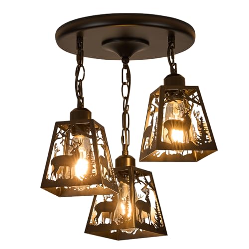 ZGYLIN Farmhouse Rustic Ceiling Light Fixture,Black Metal Cage Pendant Lights
