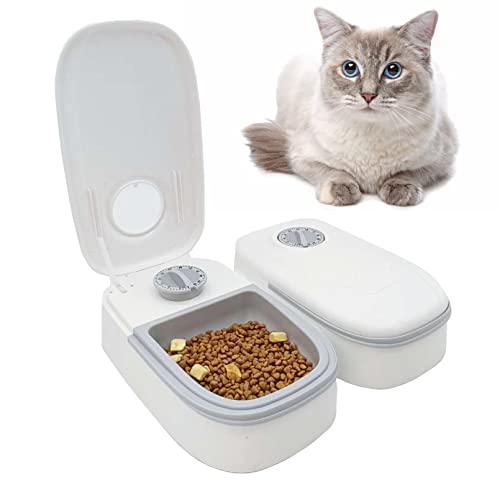 Distributeur de nourriture humide pour chats Les 15 meilleurs produits comparés Wild Explained