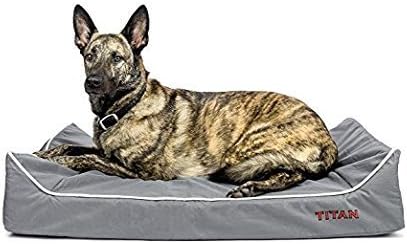 titan dog bed