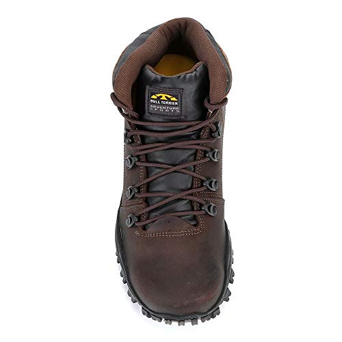 Bota Bull Terrier Fox Terrier Masculina