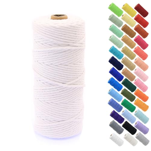 Cuerda de algodón natural de 100 m, suministros de macramé de 3 mm, 4 soportes de cordón de algodón trenzado para colgar en la pared, ganchos de plantas, manualidades, envoltura de regalos (blanco)