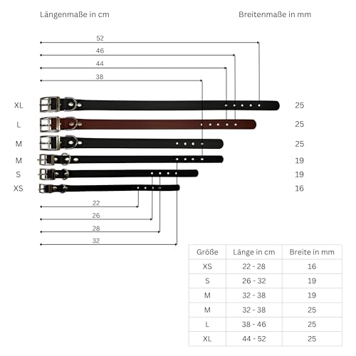 Langlebiges BioThane Hundehalsband 16/19 / 25mm mit Schnallenverschluss | Wasserfest & Robust | In 5 Größen (XS, S, M, L, XL) | Passend zu den ZAVVIT Leinen (Schwarz/Roségold)