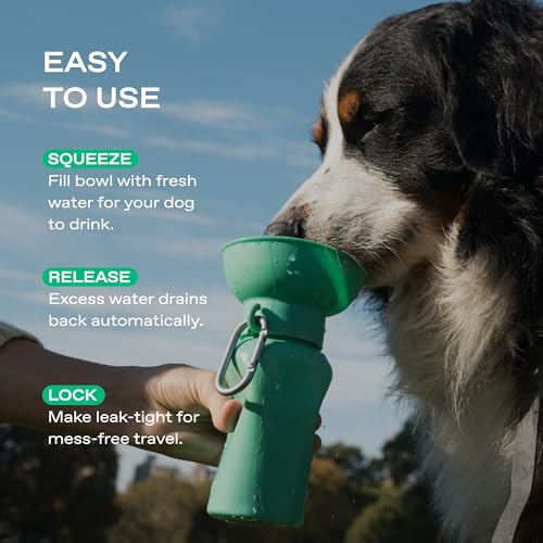 Image of Springer Flip Dog Water Bottle | Portable Drinking Feeder with Foldable Food-Grade Silicone Bowl | One-Hand Squeeze & Leak-Proof | BPA-Free 20oz | Walking, Hiking & Camping | Puppy Essentials